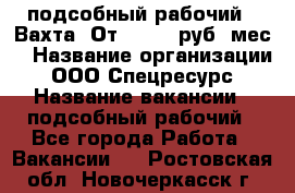 подсобный рабочий . Вахта. От 30 000 руб./мес. › Название организации ­ ООО Спецресурс › Название вакансии ­ подсобный рабочий - Все города Работа » Вакансии   . Ростовская обл.,Новочеркасск г.